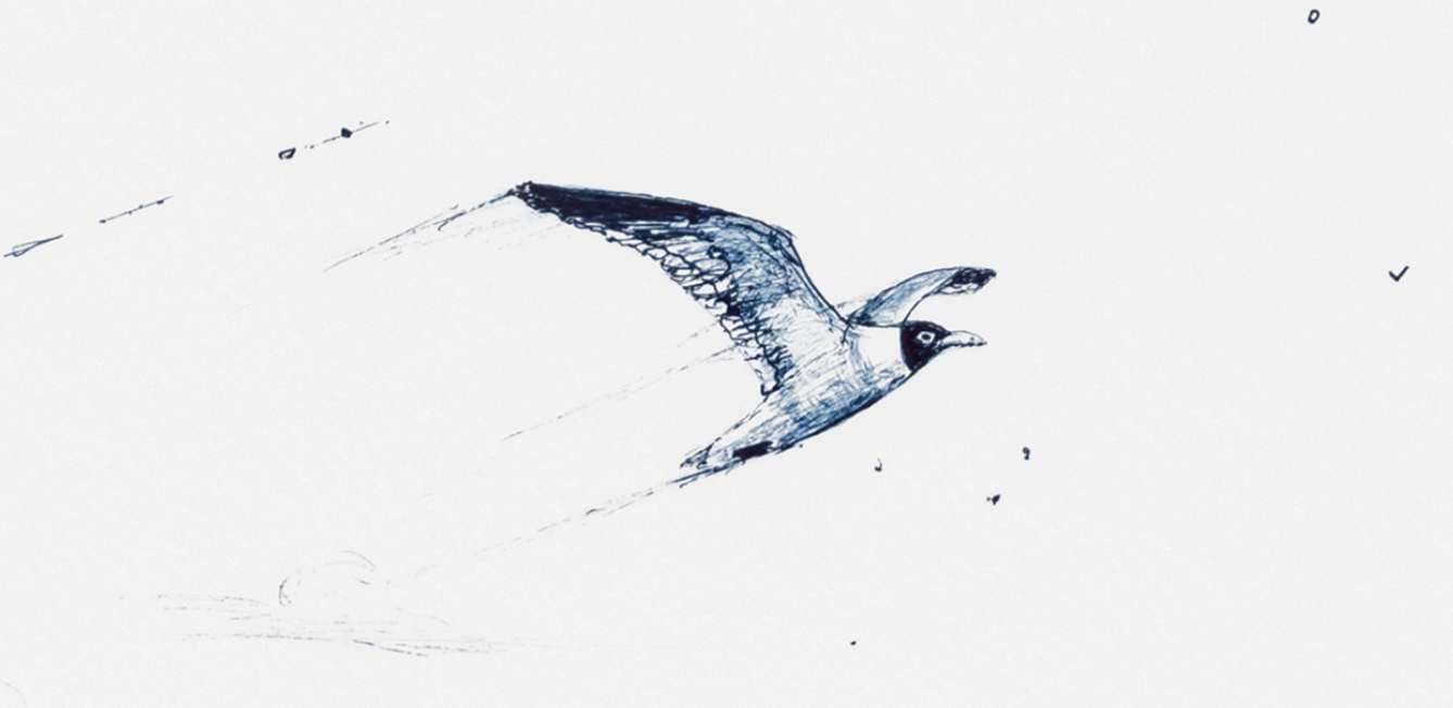 NEW: Signed Limited Edition Print of "Sailing Ships with the Wanderer and Gulls"